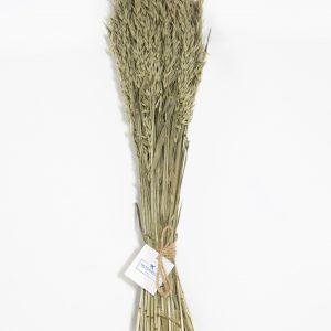 Paquete de Avena