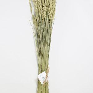 Paquete de Trigo