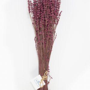 Lavanda Rosa fuerte