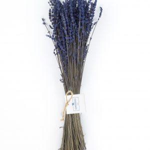 Lavanda